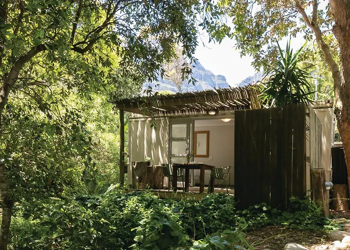 Camps Bay Forest Pods